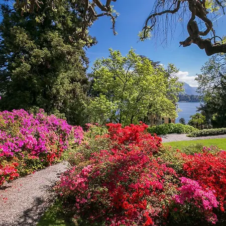 Margherita Grande * Cadenabbia
