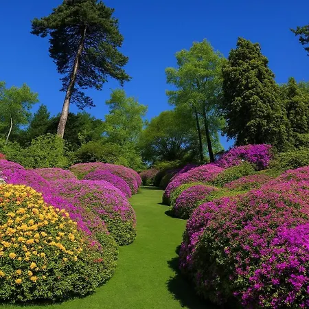 Margherita Grande * Cadenabbia