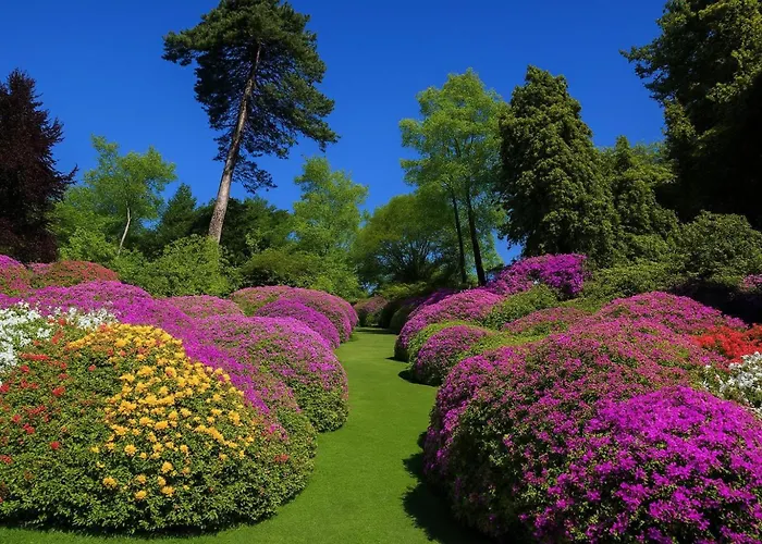 Margherita Grande * Cadenabbia