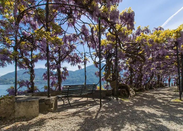 Margherita Grande * Cadenabbia